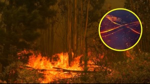 'Agentes de propagación': ¿Qué son las pavesas y cómo influyen en los incendios forestales?