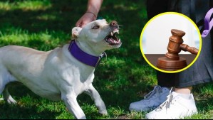 Por 'violencia sorda': Adulta mayor presentó acción legal por ladridos del perro de su vecina