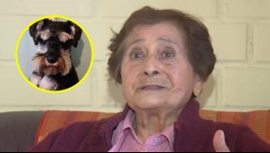 Mujer de 91 años que interpuso recurso por 'ruidos molestos' del perro de su vecina denuncia amenazas de grupos animalistas
