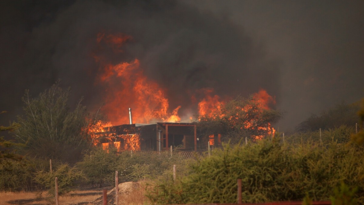 Intencionalidad en incendios forestales: Más del 90% son causados por personas