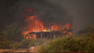 Intencionalidad en incendios forestales: Más del 90% son causados por personas