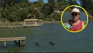 Situación del Lago Vichuquén: Mejoró la calidad del agua y el olor en la zona