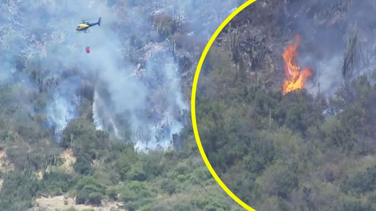 Pavesas reactivan incendio forestal en la comuna de Pichidegua: Siniestro está a solo 400 metros de una zona poblada