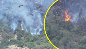 Pavesas reactivan incendio forestal en la comuna de Pichidegua: Siniestro está a solo 400 metros de una zona poblada
