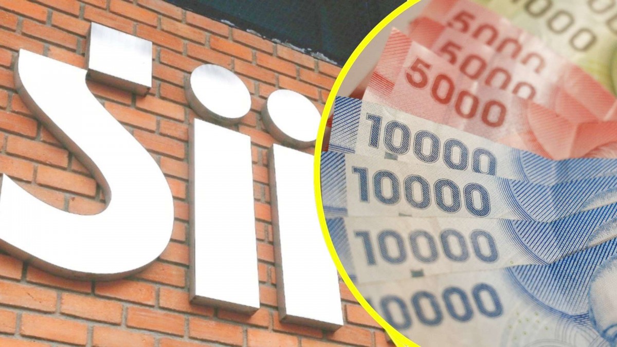 SII aumentará la retención de las boletas de honorarios: ¿Cuándo comienza la medida y por qué se aplica?