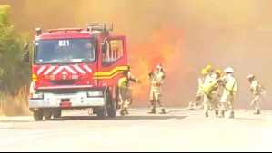 Sigue combate del voraz incendio forestal en Litueche: Dos casas ya habrían sido consumidas por el fuego