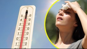 ¿Qué hacer ante un golpe de calor? Conoce los síntomas y los pasos a seguir
