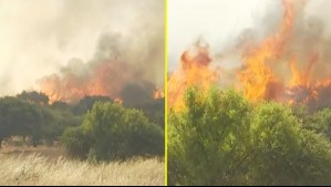 Incendio forestal: Decretan Alerta Roja y piden evacuar sector de Litueche