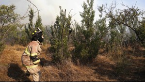 Incendio forestal en Peñaflor: Declaran Alerta Roja para comuna de la Región Metropolitana