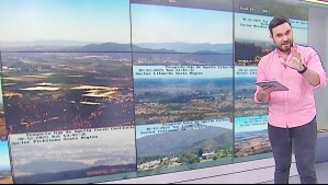 Ojos de Águila: El proyecto que impulsa un grupo de chilenos para monitorear la zona central en plena temporada de incendios