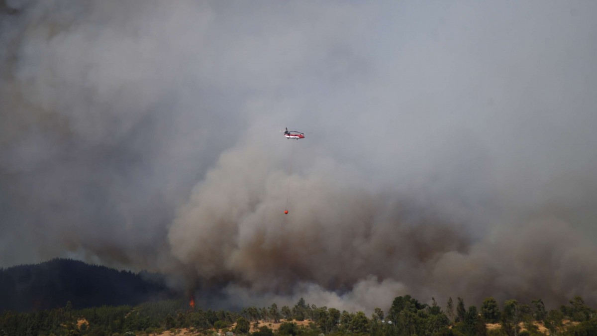 'La pluma puede quedar en el ambiente hasta nueve días': Médica broncopulmonar entrega recomendaciones ante incendios