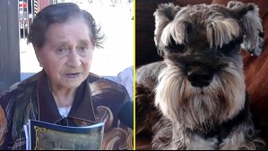 Adulta mayor que reclamó por ladridos denuncia amenazas de animalistas: 'Para ellos vale más la vida de un perro'