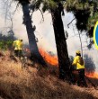 Conoce detalles sobre el llamado que hizo Senapred para evacuar sectores de la región del Biobío ante un incendio forestal que se encuentra activo. El organismo activó la mensajería SAE.