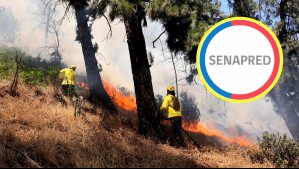 Alerta Roja en Mulchén: Llaman a evacuar sectores en la región del Biobío por incendio forestal