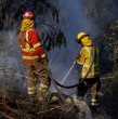 Entérate del llamado a evacuar que hizo este martes Senapred en un sector de la comuna de Tomé por un incendio forestal que se encuentra activo. El organismo activó la mensajería SAE.