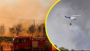 Senapred declara alerta roja para Paine, Rancagua, Angol y Maule por incendios forestales