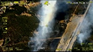 Controlan incendio forestal que afectó a sector de Angol