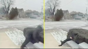 Video muestra cómo fuerte ráfaga de viento bota a adulta mayor en Estados Unidos