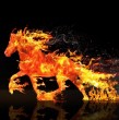 El Año Nuevo Chino comienza el 17 de febrero y marca la llegada del Caballo de Fuego. Descubre su significado, predicciones para los signos y por qué será un año intenso y transformador, entrando en esta nota.