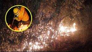 Amenazan con disparos a brigadistas que combatían un incendio forestal en Curanilahue