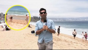 Con turistas argentinos y familias: Karim Butte muestra cómo está la playa de Reñaca este verano
