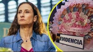 Amparo Noguera perdió $700 millones: Así cayó la banda de estafadores que se hacía pasar por ejecutivos bancarios y PDI