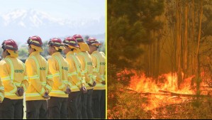 Uno empezó como quema controlada: Contraloría detecta deficiencias en labor de Conaf en incendios forestales en La Araucanía
