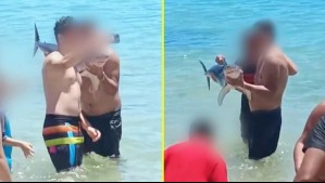 Polémica por veraneantes que se tomaron fotos con un tiburón en playa de El Quisco
