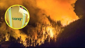 Conaf descarta por ahora que incendios forestales en la Patagonia argentina se propaguen a Chile