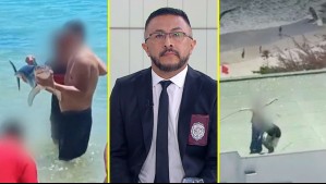 Maltrato animal en Chile: Comisario de la PDI informa cómo denunciar estos hechos