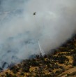 La tarde de este domingo, el Servicio Nacional de Prevención y Respuesta ante Desastres (Senapred) ordenó la evacuación de cuatro sectores de la comuna de Cauquenes, en la región del Maule, debido a un incendio forestal. ¡Detalles!