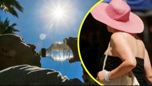 Incluye a Santiago: Emiten advertencia agrometeorológica por altas temperaturas en tres regiones