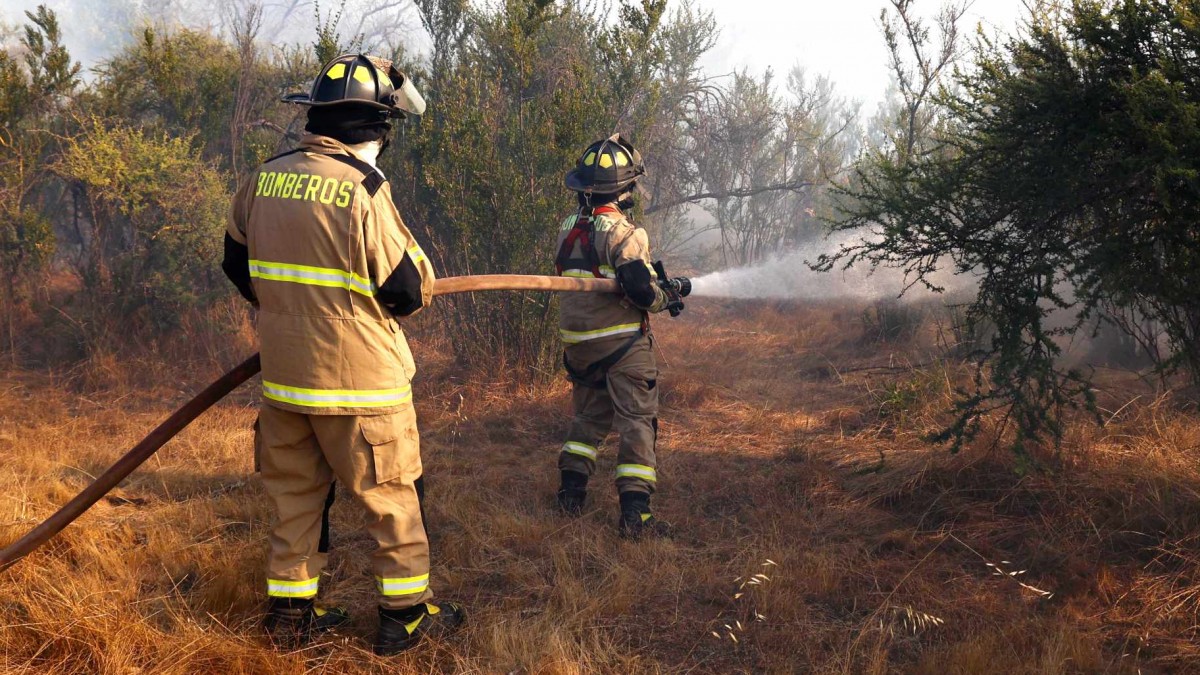 Alerta Roja para San José de Maipo por incendio forestal: Cinco casas afectadas y cerca de 80 personas evacuadas