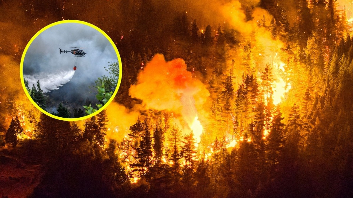 Casi 12 mil hectáreas consumidas: Las imágenes de los incendios que afectan a la Patagonia de Argentina