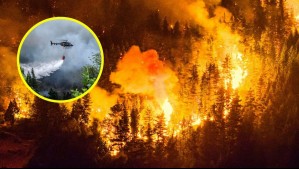 Casi 12 mil hectáreas consumidas: Las imágenes de los incendios que afectan a la Patagonia de Argentina