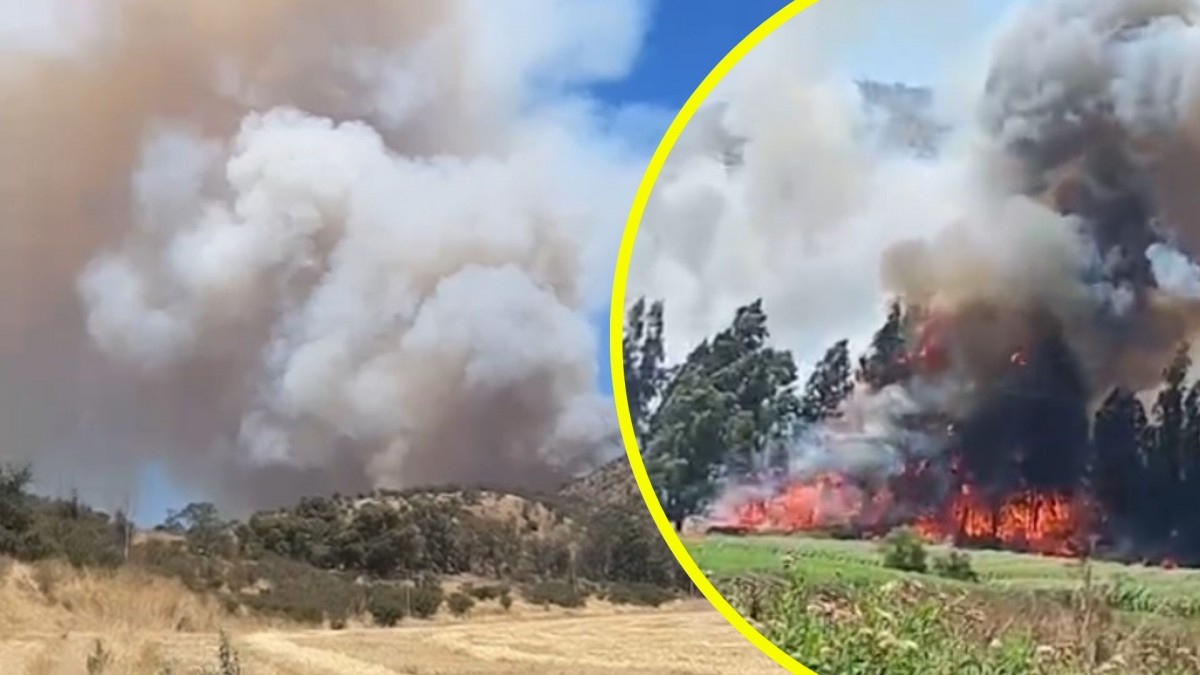 Alerta Roja por incendio forestal en Melipilla: Bomberos y Conaf trabajan en la emergencia