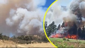 Alerta Roja por incendio forestal en Melipilla: Bomberos y Conaf trabajan en la emergencia