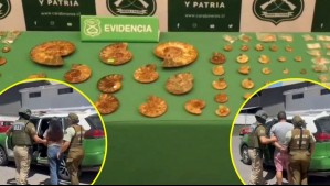 Dos detenidos por vender fósiles en Meiggs: Hallan 400 amonites tras fiscalización por falsificación de productos