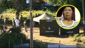 Con perros y palas: Realizan una 'operación rastrillo' en busca del cuerpo de Julia Chuñil