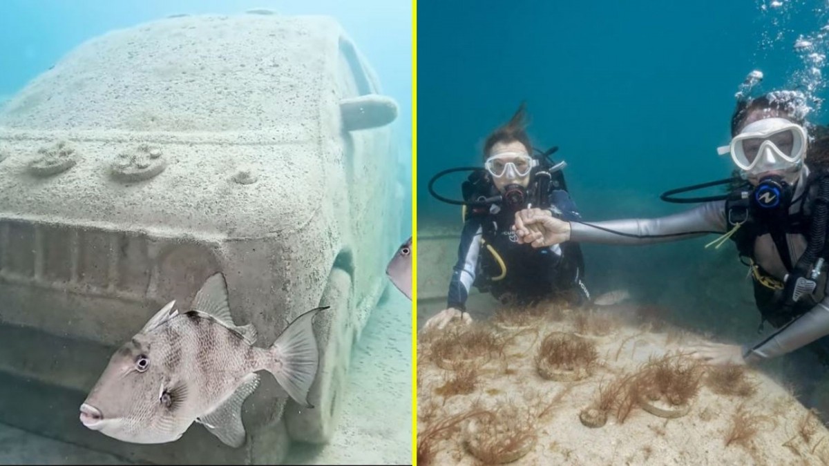 Aparecen autos sumergidos en Miami Beach: Esta es la explicación de la particular intervención