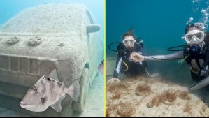 Aparecen autos sumergidos en Miami Beach: Esta es la explicación de la particular intervención