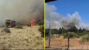 Declaran Alerta Roja por incendios forestales en Talca y San Nicolás