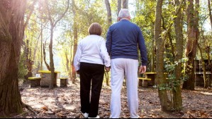 Pensionados denuncian que por error les quitaron las PGU: Así puedes revisar si aún eres beneficiario y tu fecha de pago