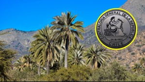 Hoteles y club house con piscinas: CGR detecta más de 400 construcciones irregulares cerca de Parque Nacional La Campana