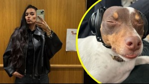 'El chiste me salió un millón': Steffy Méndez revela complejo momento económico tras emergencia