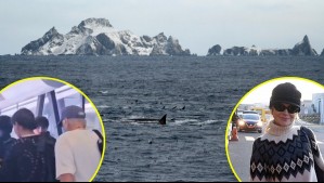 ¿Cuánto cuesta el viaje a la Antártica que hicieron Nicole Kidman, Catherine Zeta-Jones y Michael Douglas?