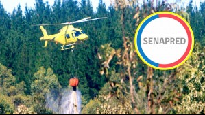 Llaman a evacuar un sector de la comuna de Los Ángeles por incendio forestal