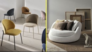 Sernac denuncia por estafa a representantes de conocida marca de muebles: No entregaron productos que estaban pagados