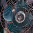 El ventilador es una excelente opción para capear las altas temperaturas de este verano, y no tener que afrontar las grandes facturas de electricidad que derivan del uso de los aires acondicionados.