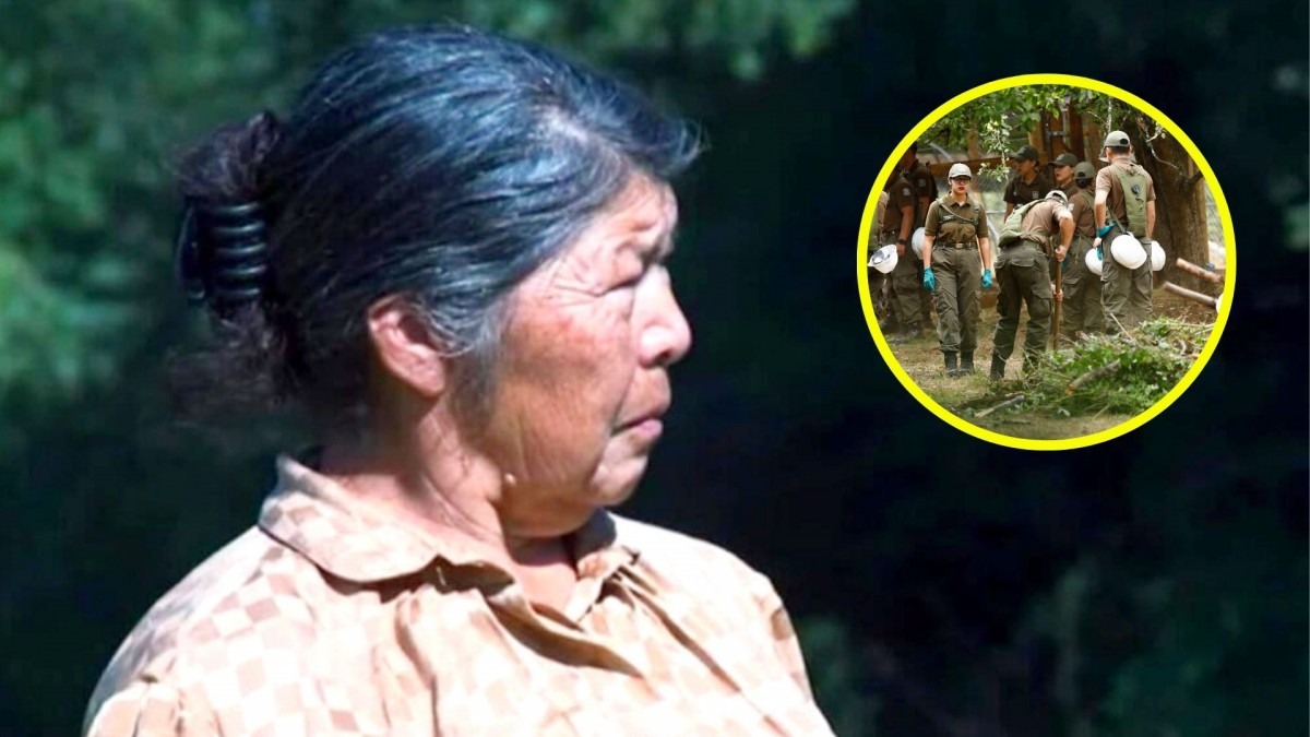 Por defender a un adulto mayor: Así habría sido asesinada Julia Chuñil por uno de sus hijos según fiscalía